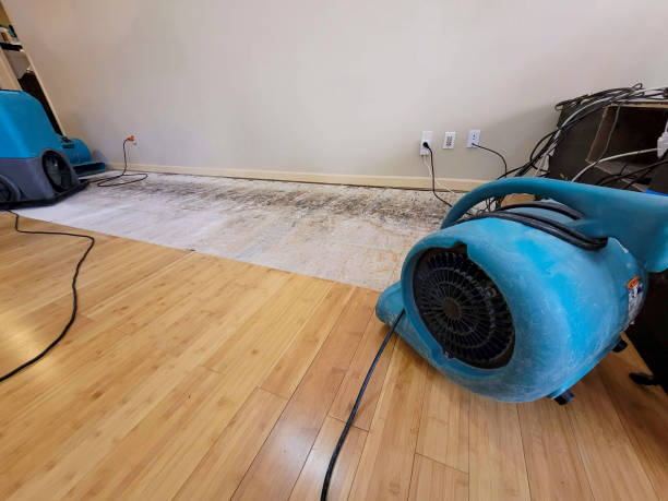 Professional Burst Pipe Water Damage technician working in Hicksville, OH